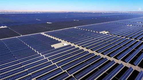 超越张雪峰，马斯克预言 2030年人类不再是“最聪明的物种”，太阳能发电技术服务或将见证变革